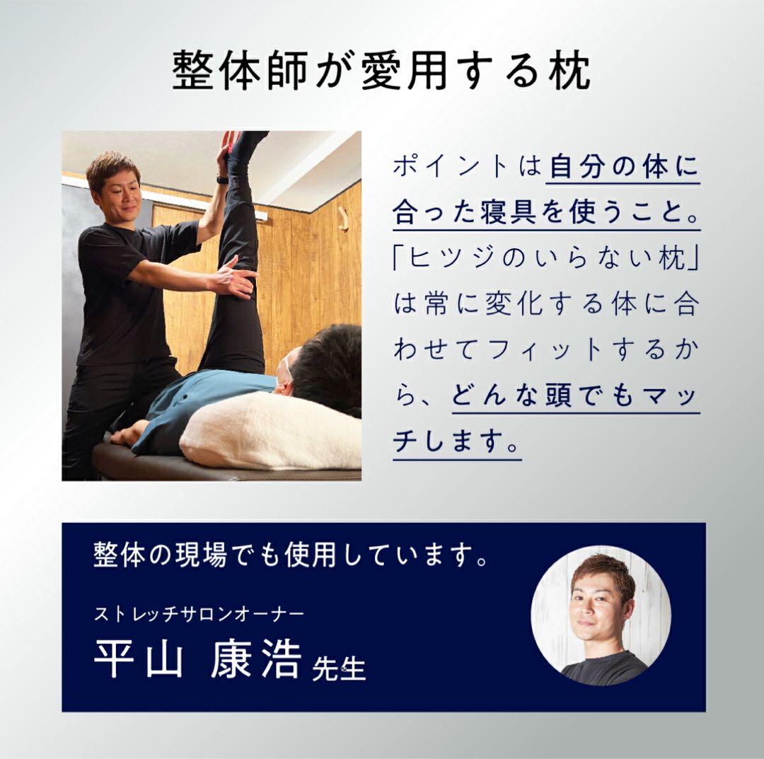 ヒツジのいらない枕 洗える TPE 頭 首の負担軽減 枕カバー付き 箱あり 美品