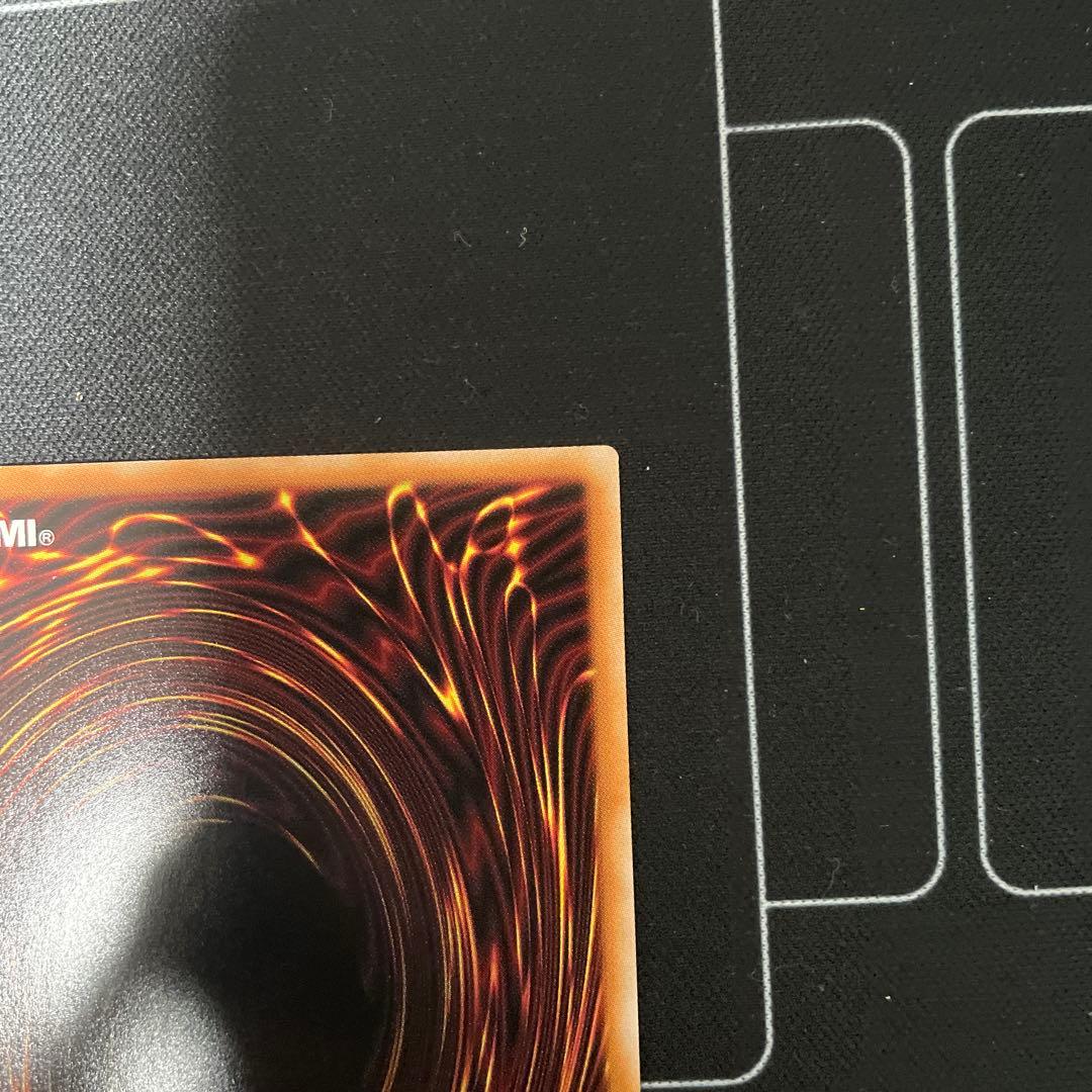 ヴィクテム・サンクチュアリ　プリシク