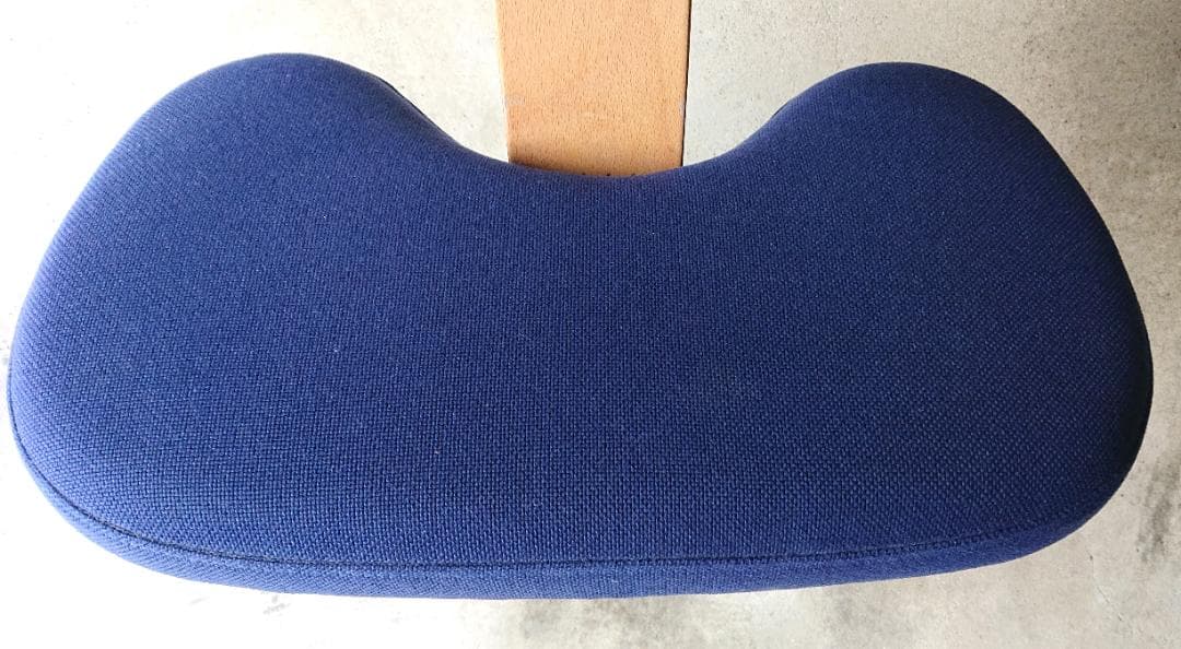 【良品】サカモトハウス バランスチェアイージー 　ブルー