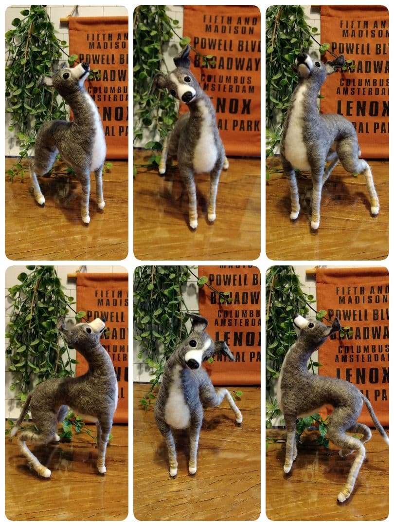 羊毛フェルト　イタリアングレーハウンド　イタグレ