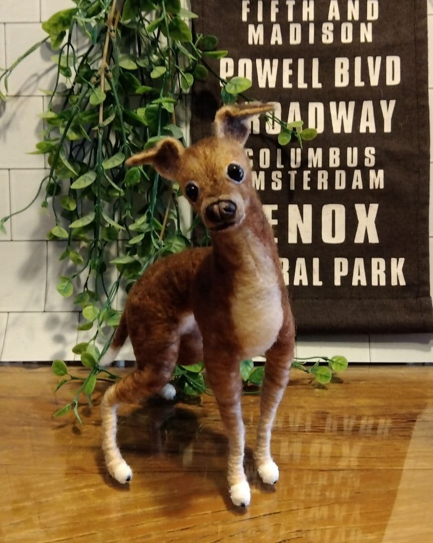 羊毛フェルト　イタリアングレーハウンド　イタグレ