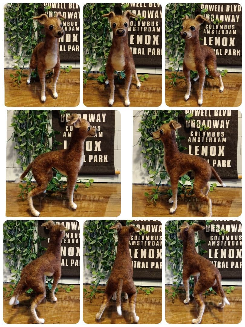 羊毛フェルト　イタリアングレーハウンド　イタグレ