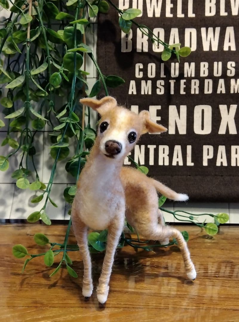 羊毛フェルト　イタリアングレーハウンド　イタグレ