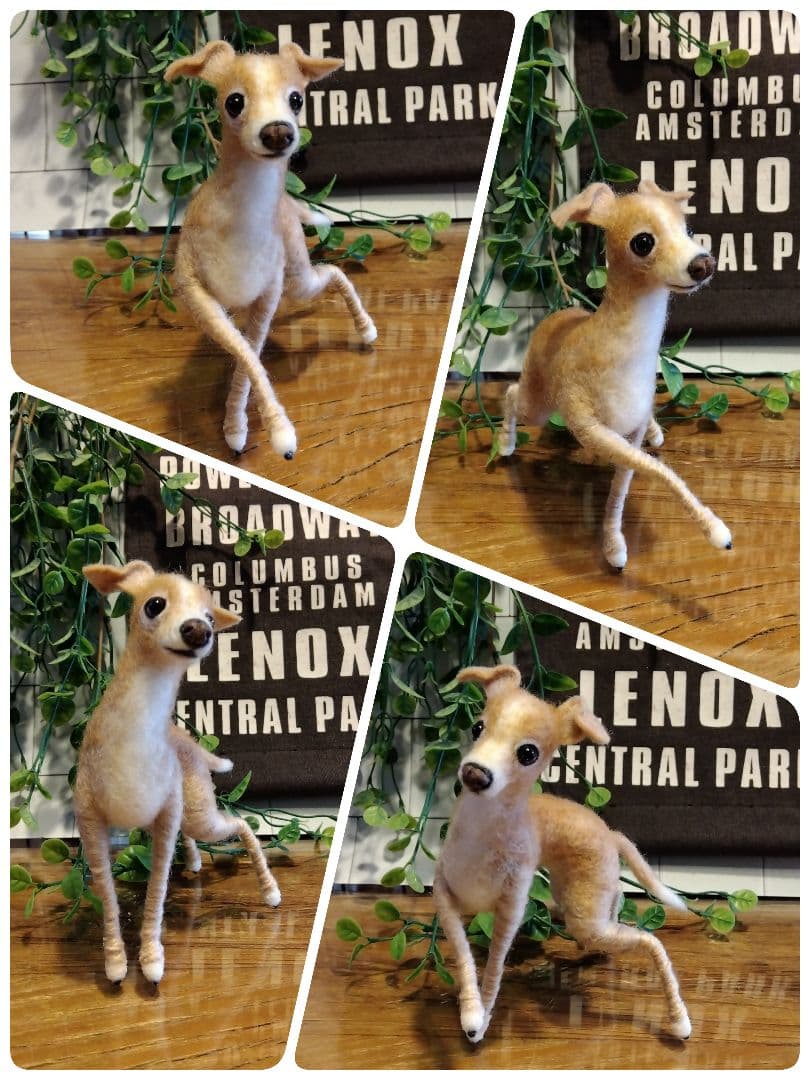 羊毛フェルト　イタリアングレーハウンド　イタグレ