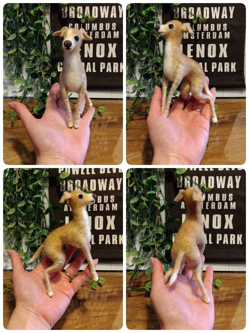 羊毛フェルト　イタリアングレーハウンド　イタグレ