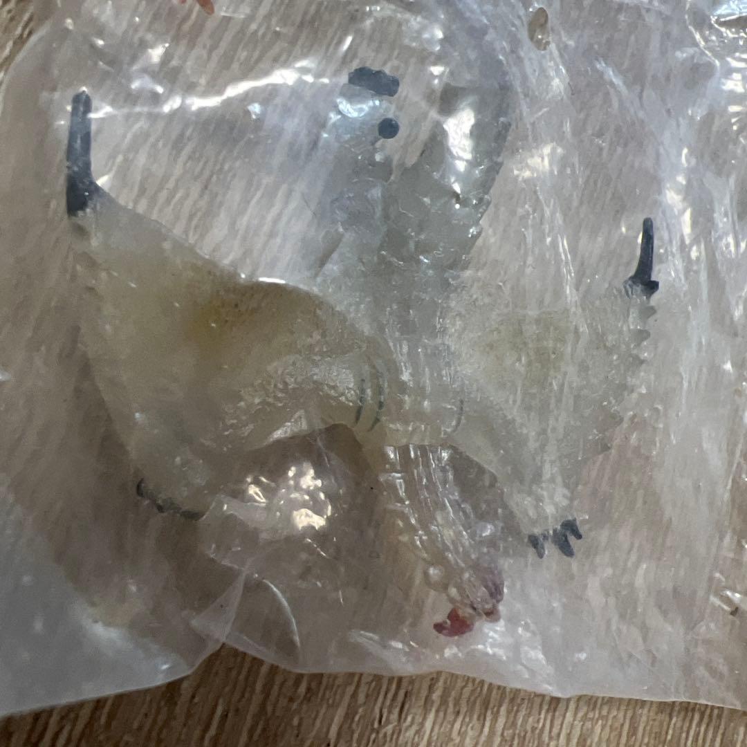 未開封　モンスターハンター　図鑑　フィギュア　5つセット　モンハン