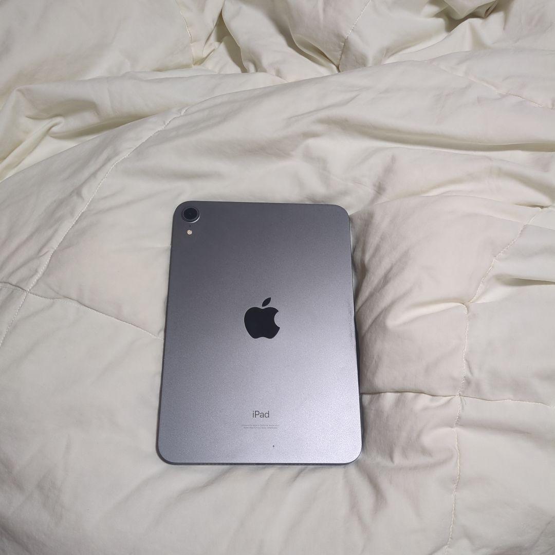 Apple iPad 256GB 本体