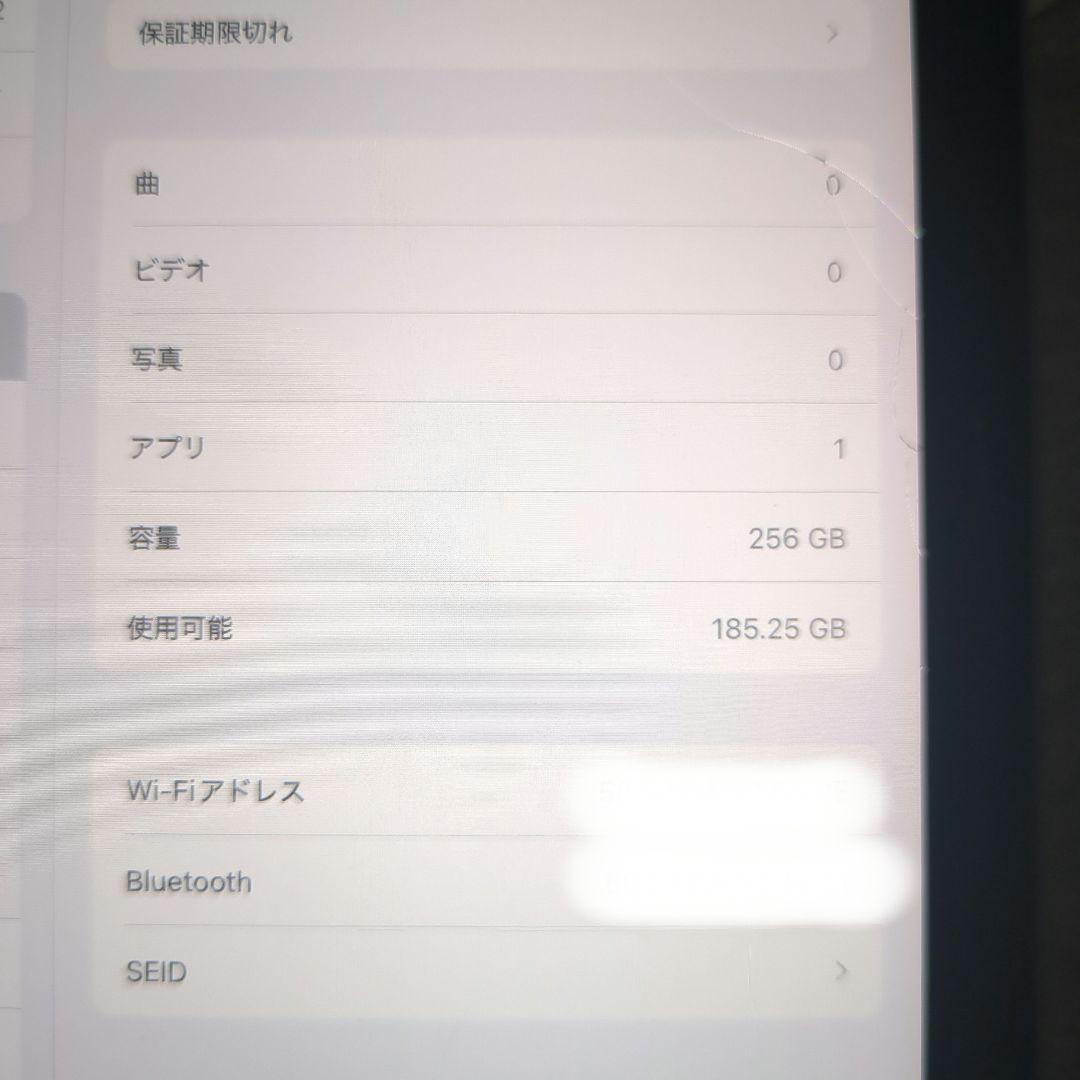 Apple iPad 256GB 本体