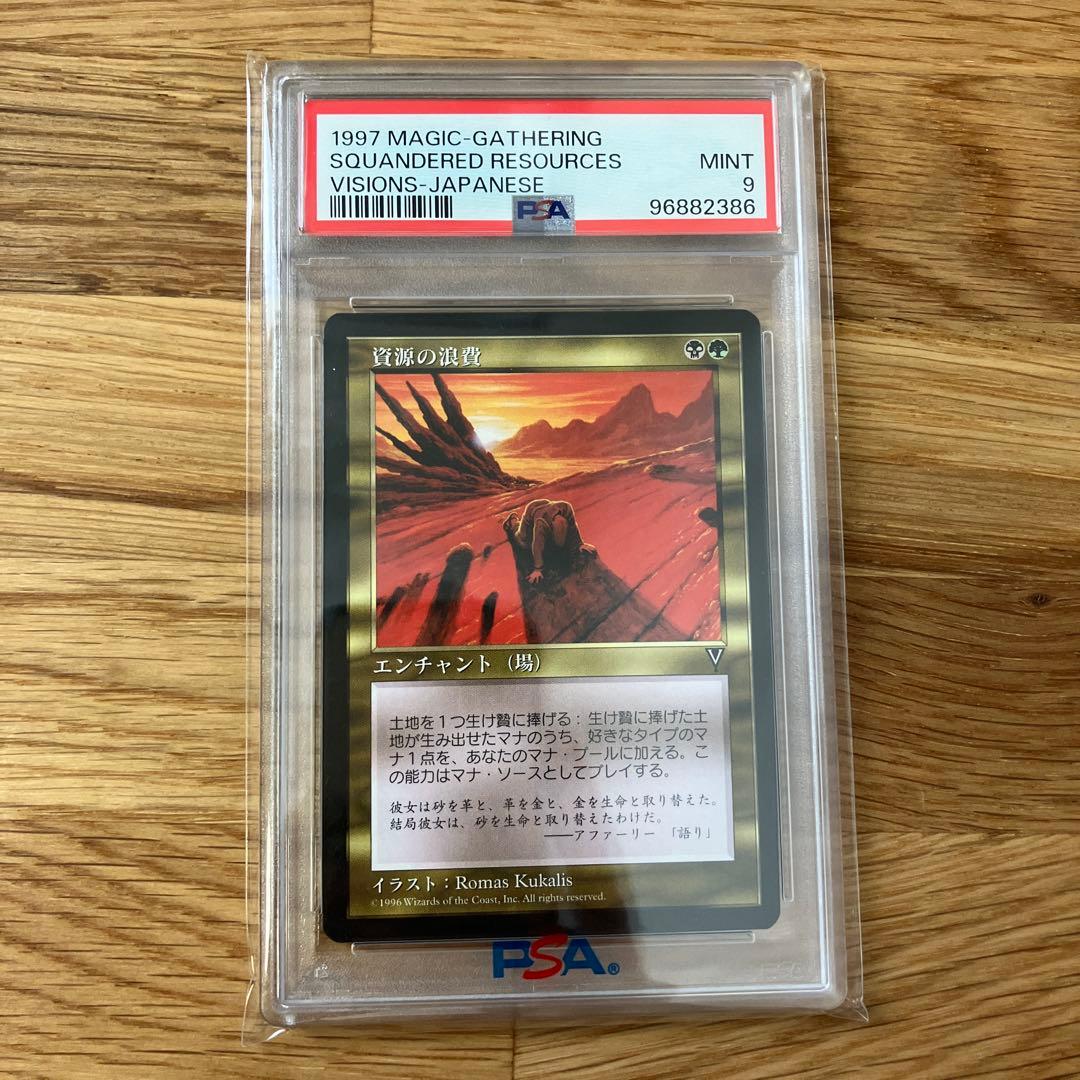 資源の浪費 VIS版 psa9【世界に一枚】