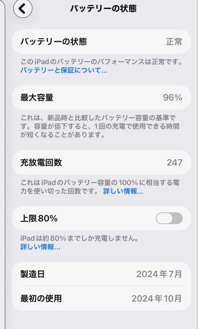 a*a様 iPad mini A17 Pro Wi-Fi 128GB ブルー