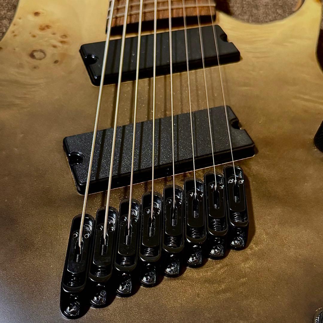 8弦ギター　ファンフレット　マルチスケール　ポプラバール