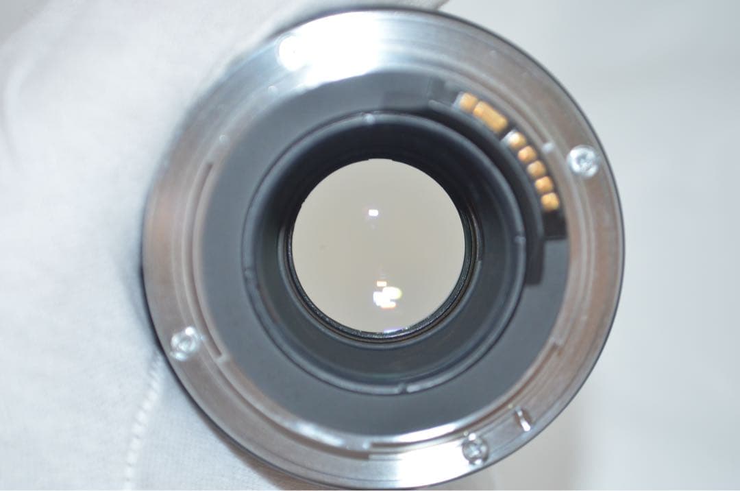 美品　Canon キヤノン EF 100mm F2.8 マクロレンズ