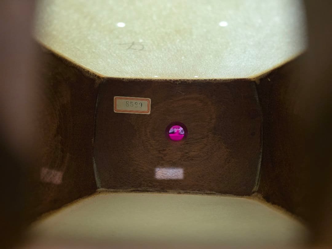 三絃 地歌用 皮破れなし