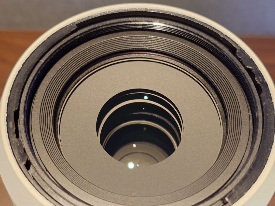 FE 70-200mm F4 Macro G OSS II + 2Xテレコン