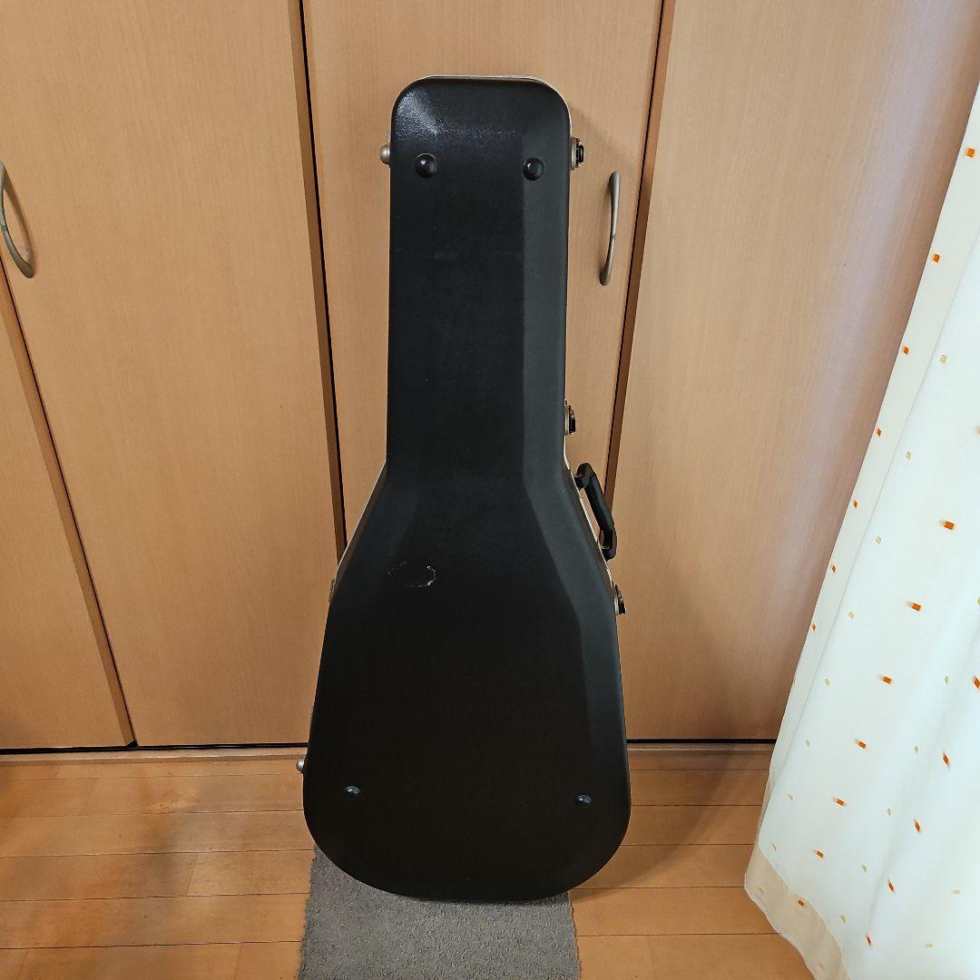 【エレアコ】The Sandpiper Deluxe アコースティックギターです