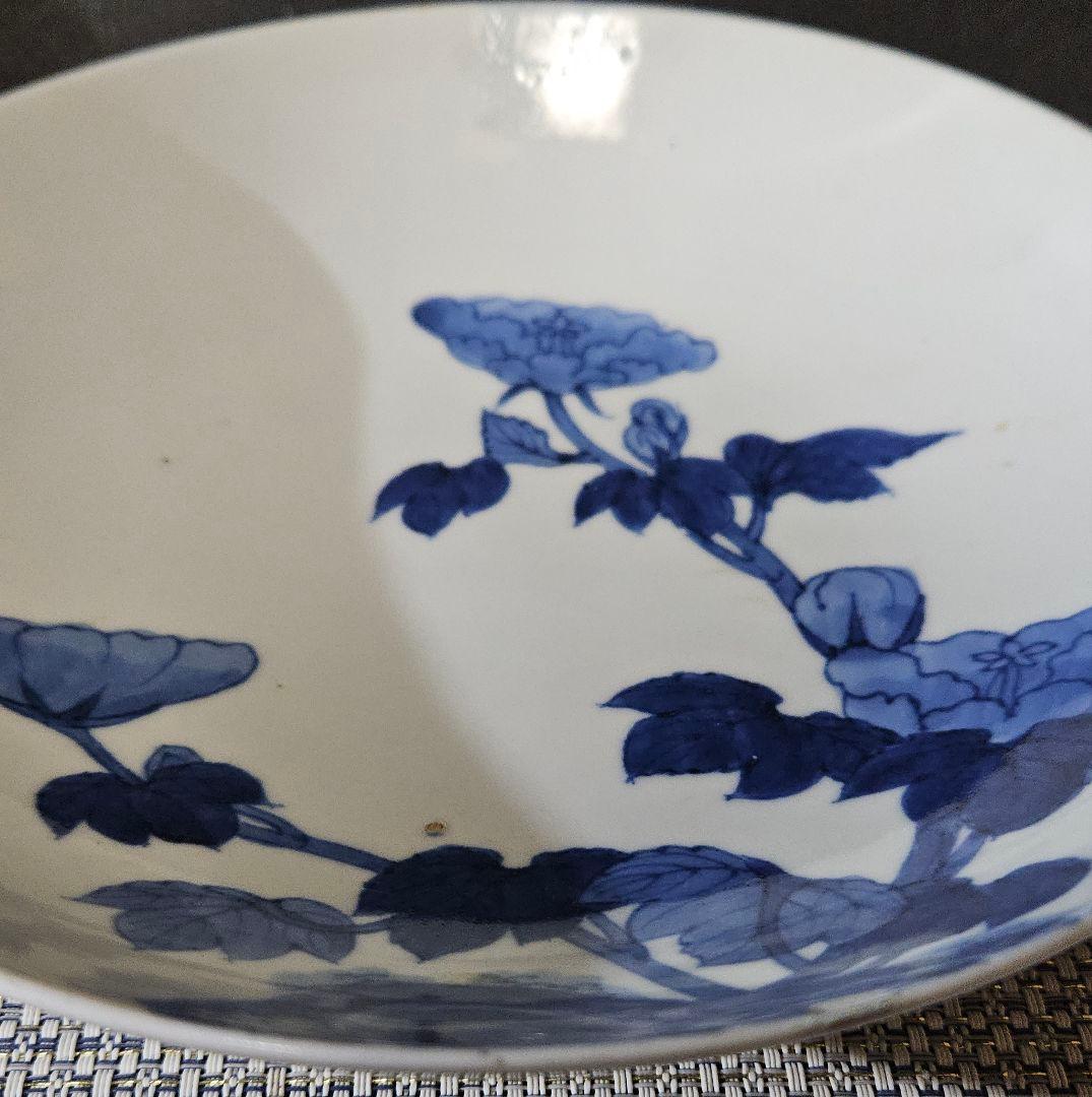 江戸時代後期　後期藍鍋島　芙蓉文様 櫛高台皿　径 約20.8cm