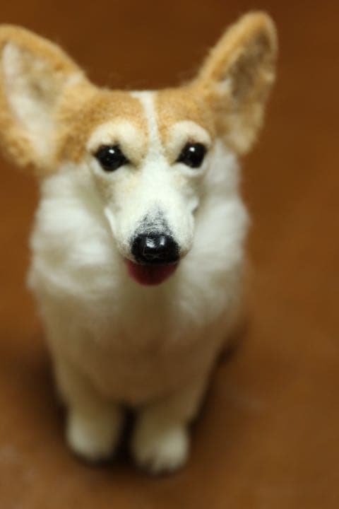 羊毛フェルト　ウェルシュコーギー