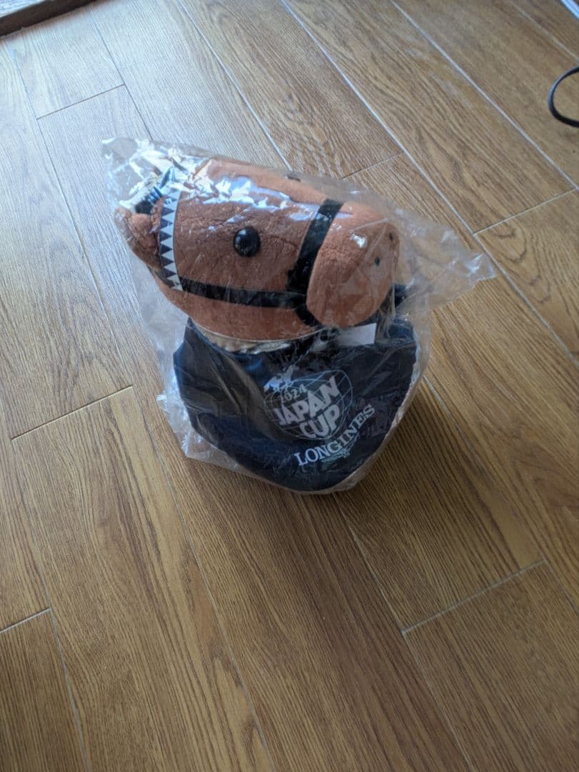 ドウデュース アイドルホース ジャパンカップ ウェルカムチャンス特別賞