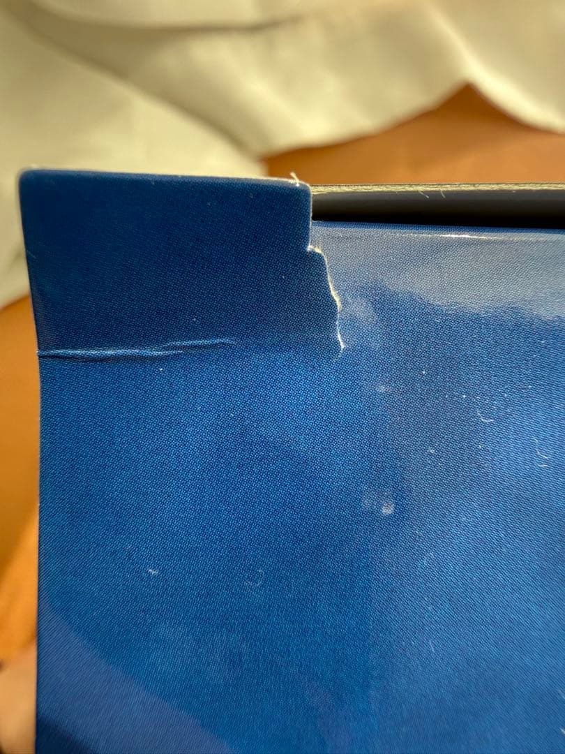 キングダム　フィギュア