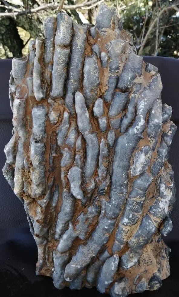 超珍品　珊瑚化石　2.9kg ーt496