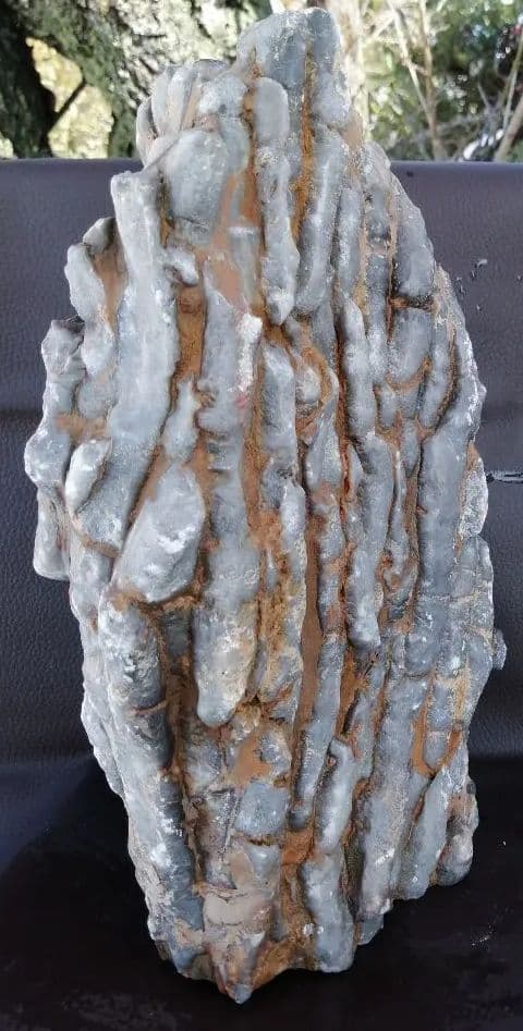 超珍品　珊瑚化石　2.9kg ーt496