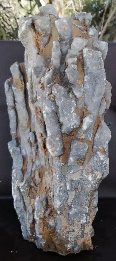 超珍品　珊瑚化石　2.9kg ーt496
