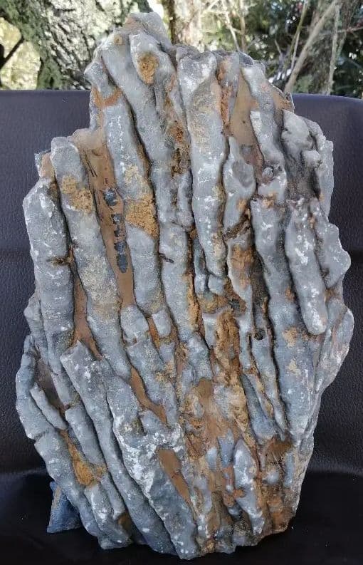 超珍品　珊瑚化石　2.9kg ーt496