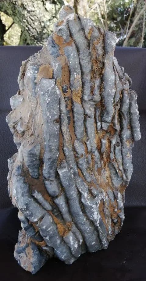 超珍品　珊瑚化石　2.9kg ーt496