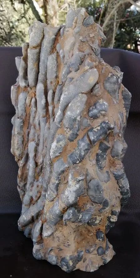 超珍品　珊瑚化石　2.9kg ーt496