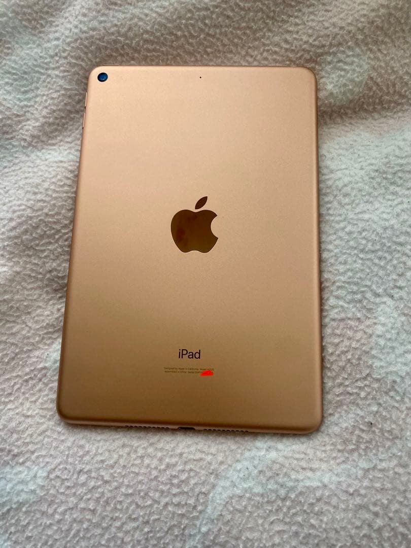 iPad mini5 ゴールド 本体 ケース付