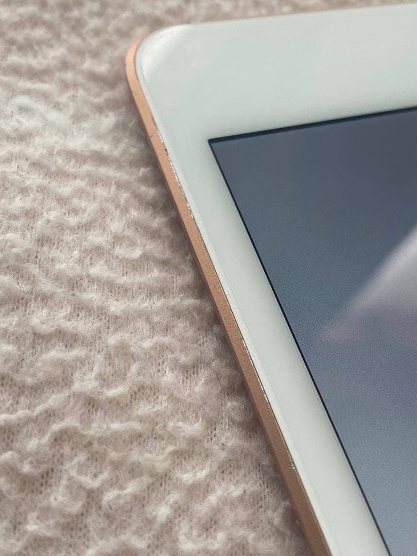 iPad mini5 ゴールド 本体 ケース付