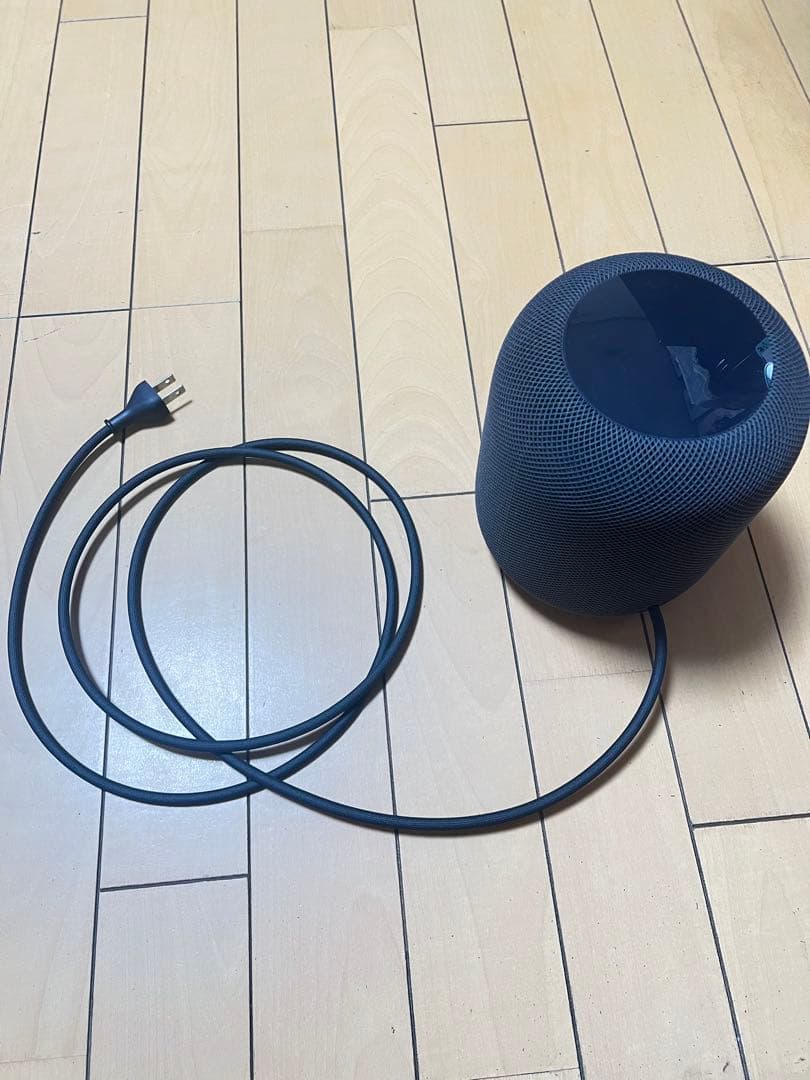 Apple Podスペースグレイ第一世代(ジャンク)