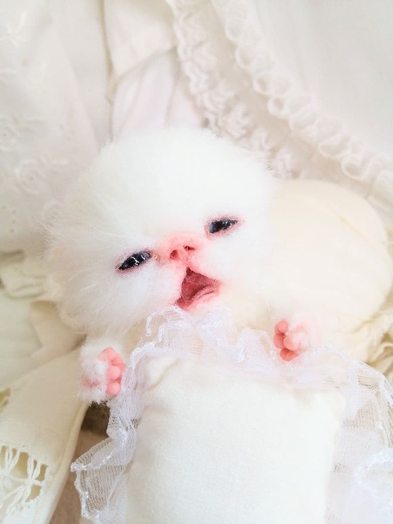 生後２週間♡子猫ちゃん♡お世話セット♡お布団♡おしゃぶり♡アートドールぬいぐるみ