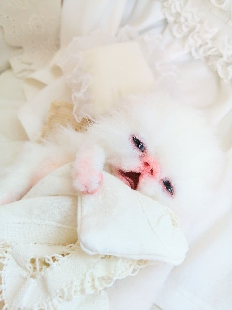 生後２週間♡子猫ちゃん♡お世話セット♡お布団♡おしゃぶり♡アートドールぬいぐるみ