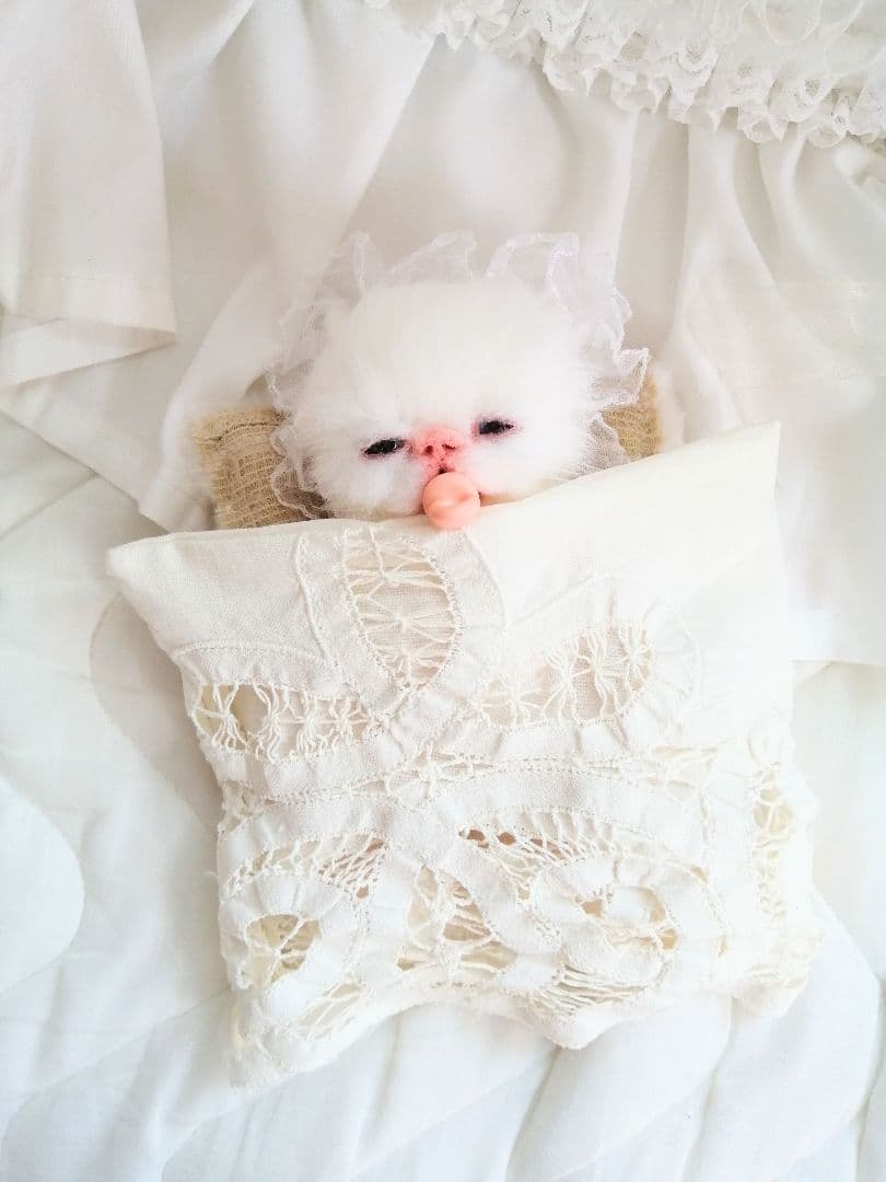 生後２週間♡子猫ちゃん♡お世話セット♡お布団♡おしゃぶり♡アートドールぬいぐるみ