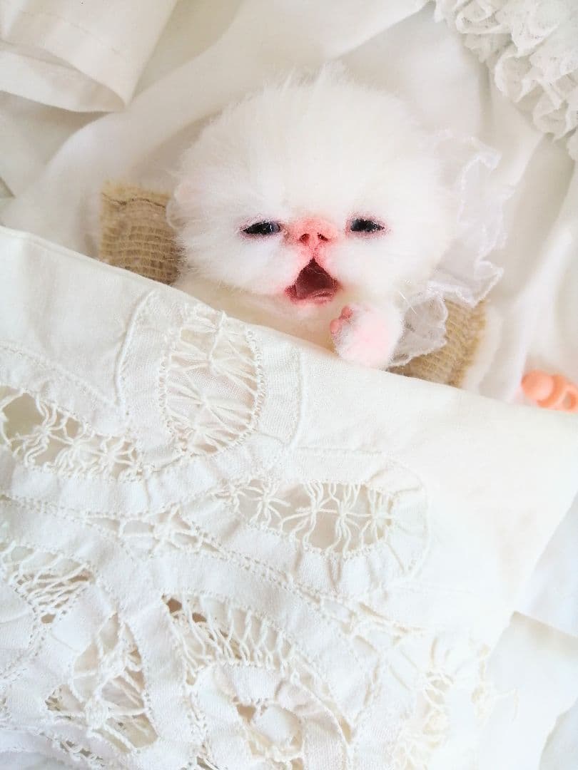 生後２週間♡子猫ちゃん♡お世話セット♡お布団♡おしゃぶり♡アートドールぬいぐるみ