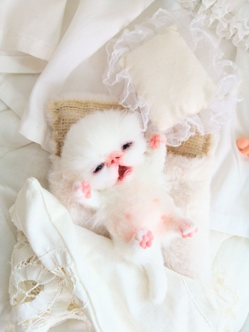 生後２週間♡子猫ちゃん♡お世話セット♡お布団♡おしゃぶり♡アートドールぬいぐるみ