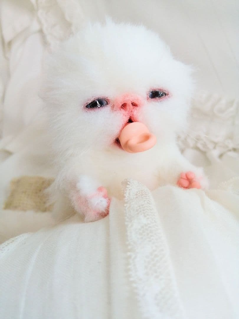 生後２週間♡子猫ちゃん♡お世話セット♡お布団♡おしゃぶり♡アートドールぬいぐるみ