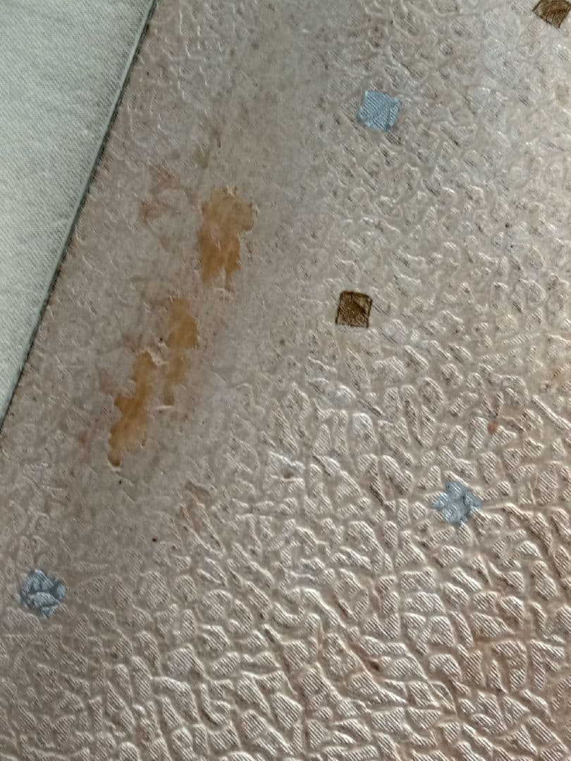 ガラスケース/昭和レトロ/レトロガラス/背面/底面/和紙/MRZ404