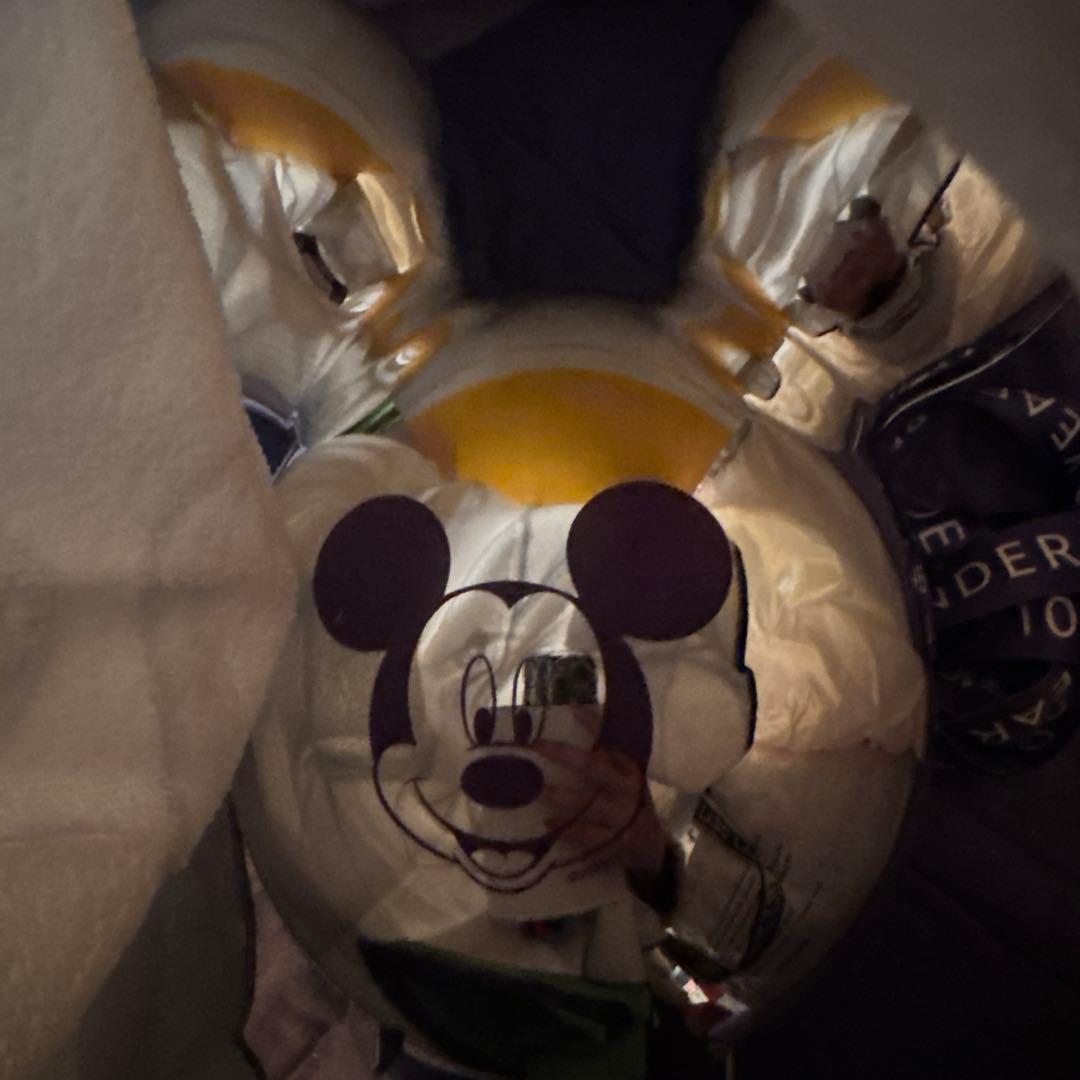 カリフォルニアディズニー 限定 日本未発売 ポップコーンバケット