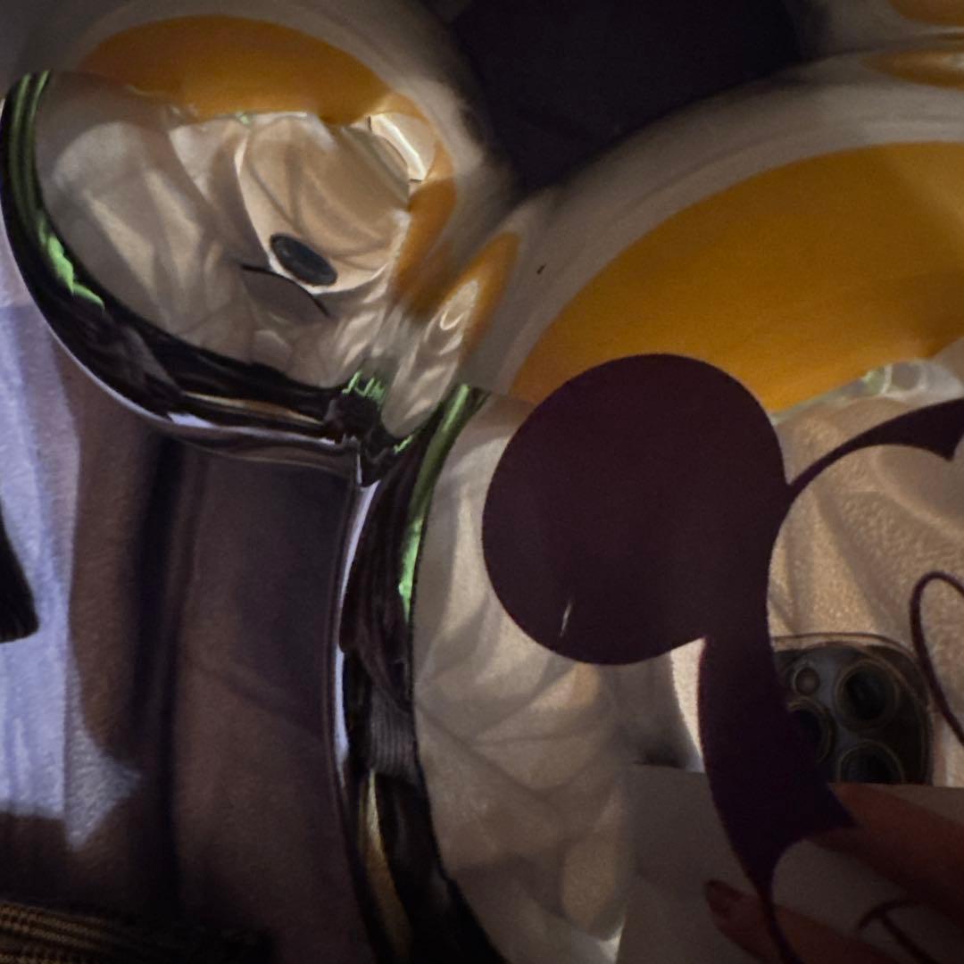 カリフォルニアディズニー 限定 日本未発売 ポップコーンバケット