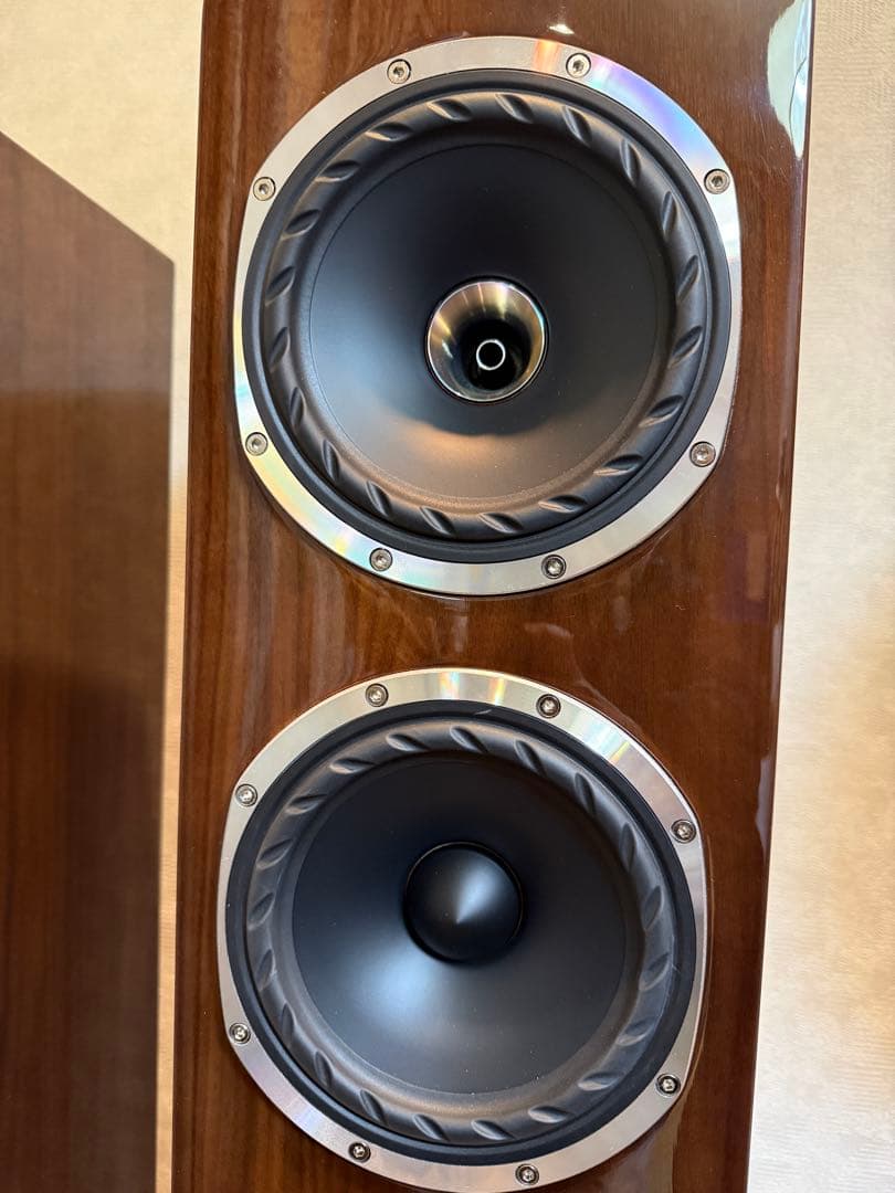 2本同時購入 Fyne Audio F501SP PGWNウォールナット2/2