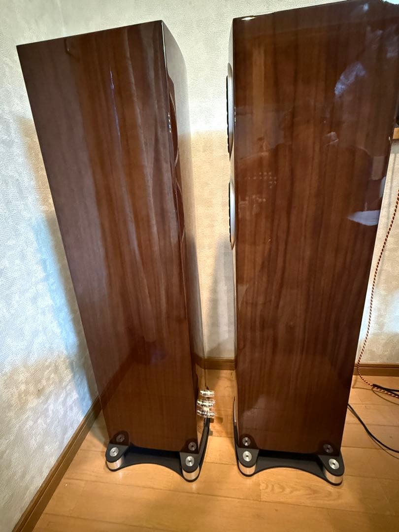 2本同時購入 Fyne Audio F501SP PGWNウォールナット2/2