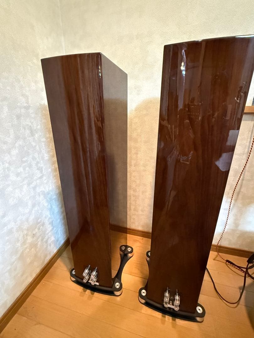 2本同時購入 Fyne Audio F501SP PGWNウォールナット2/2