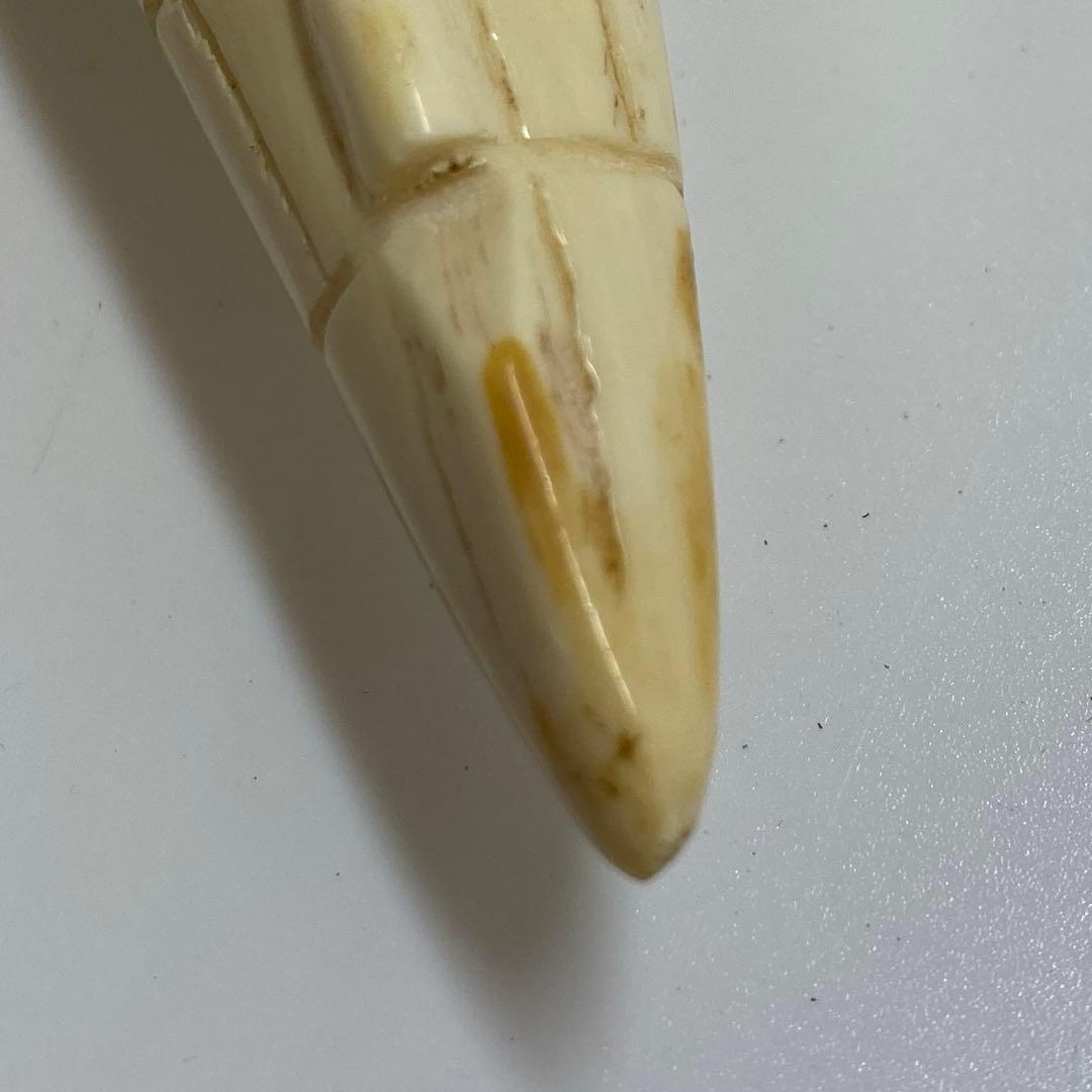 専用　極上　ワニ　置物　トヒニ　873g 東S8-0401☆2F