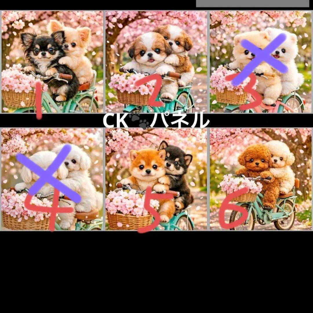 ハンドメイドオーダー受け付け(ポメラニアン、チワワ、柴犬、シーズー、パグ)