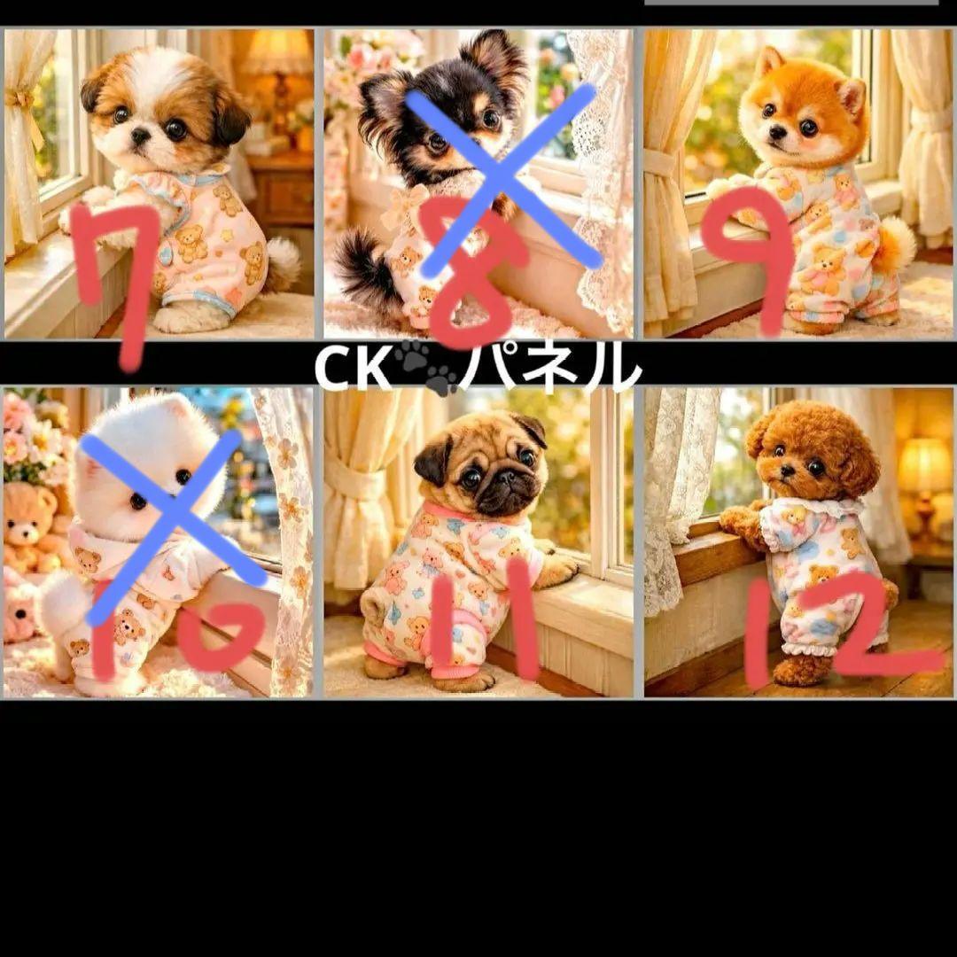 ハンドメイドオーダー受け付け(ポメラニアン、チワワ、柴犬、シーズー、パグ)