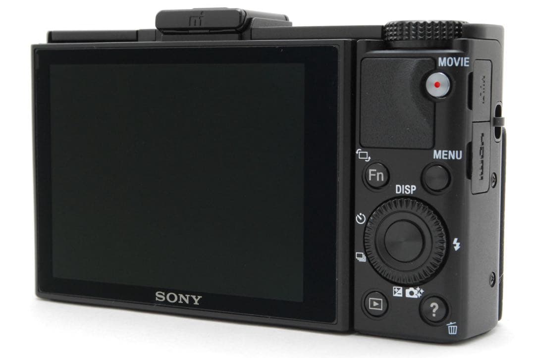 ✨極美品✨ソニー RX100M2❤2020万画素の高解像！