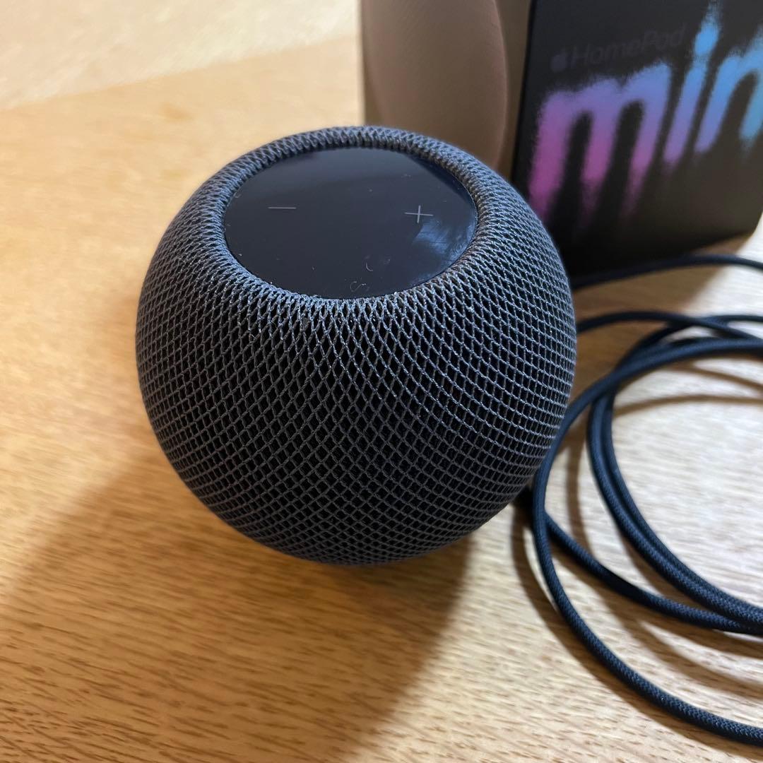 2020 Apple Pod mini スペースグレー