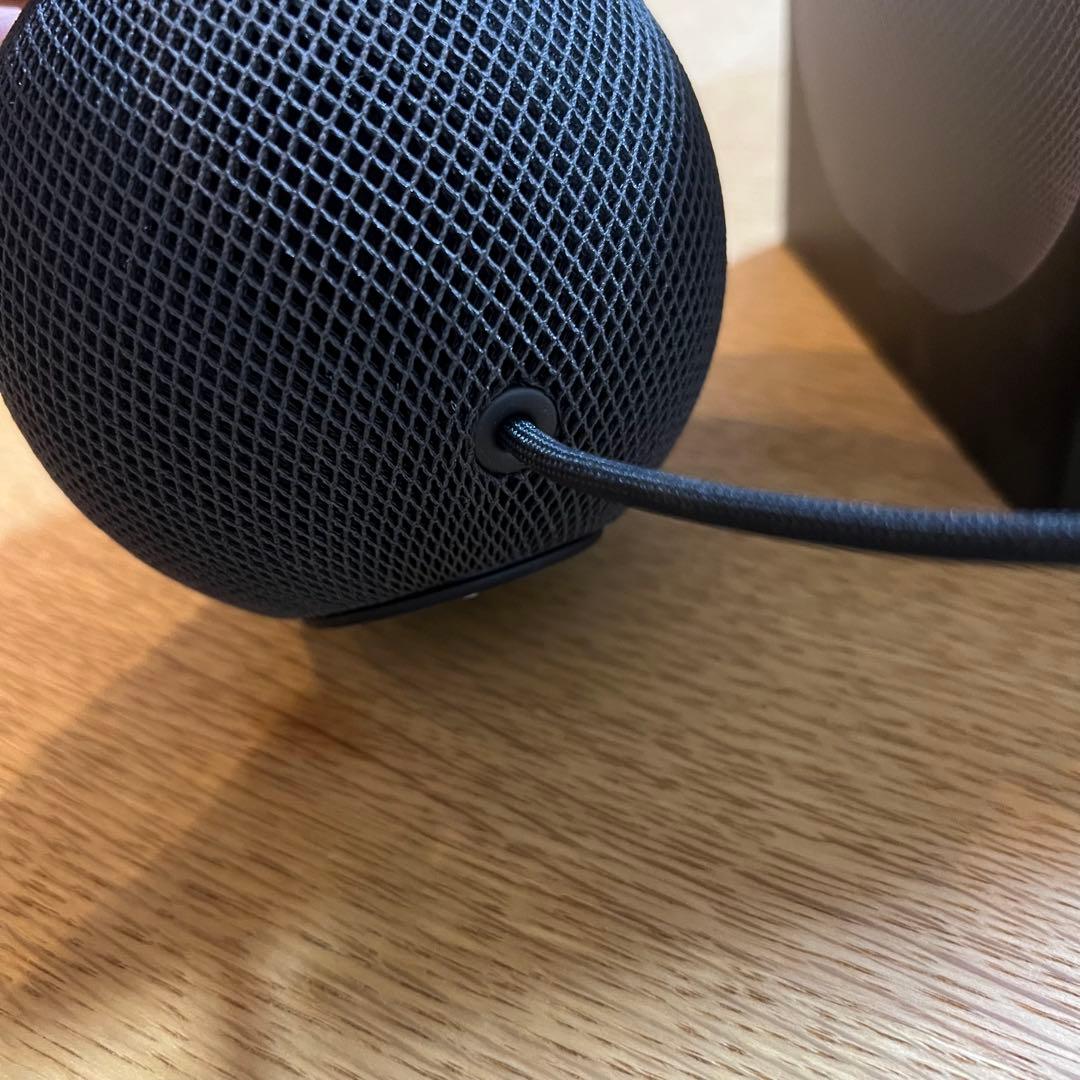 2020 Apple Pod mini スペースグレー